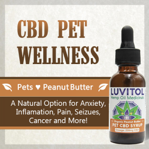 CBD Pet wellness tincture by Luvitol