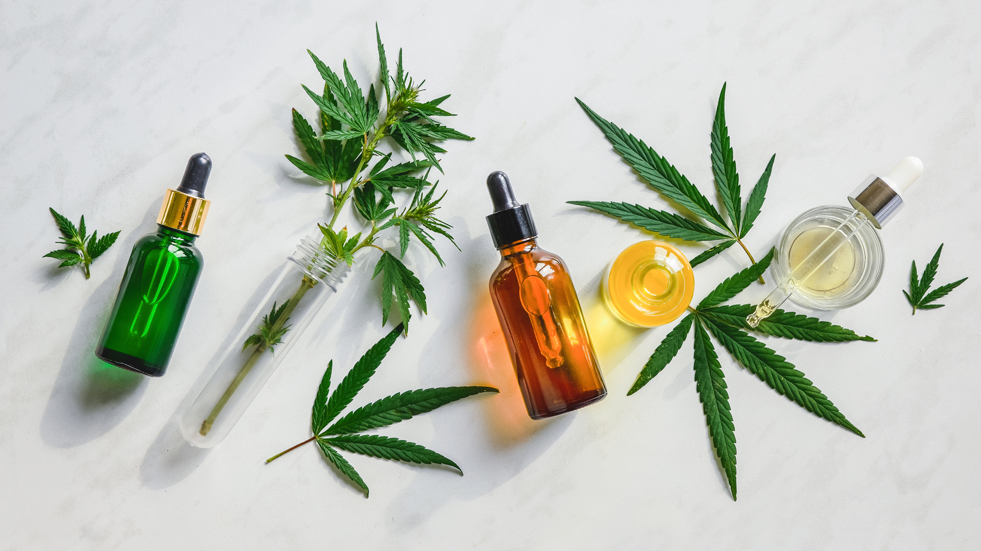 From Plant to Product The Journey of CBD Extraction and Processing