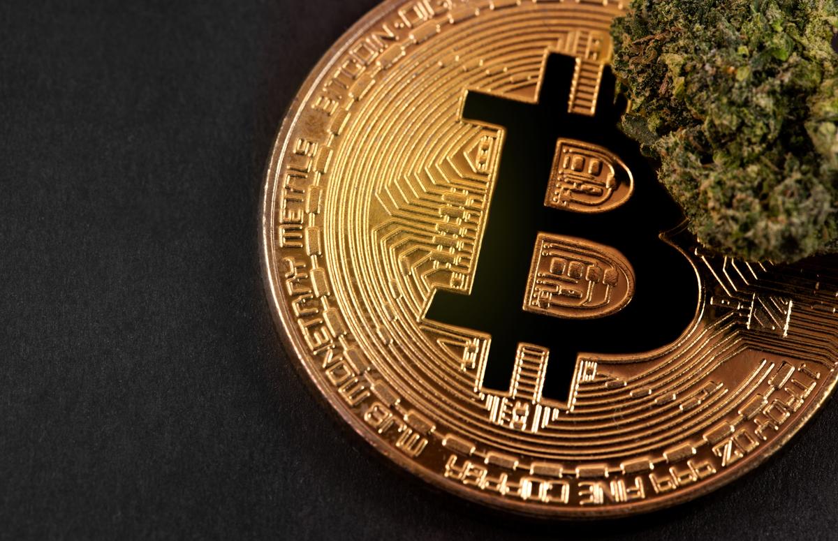 A Transparent Future with Blockchain Technology in CBD Industry