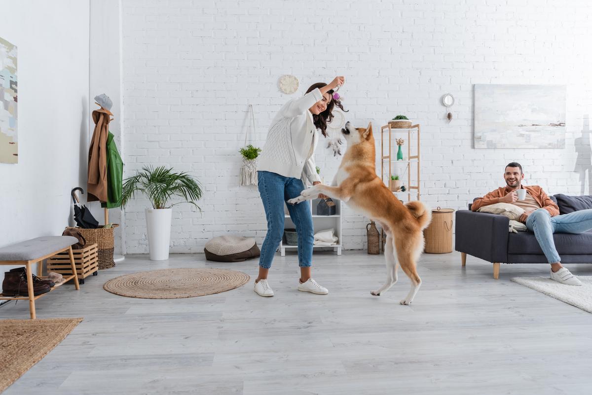Innovations in Veterinary Care: Exploring CBD’s Role in Pet Medicine