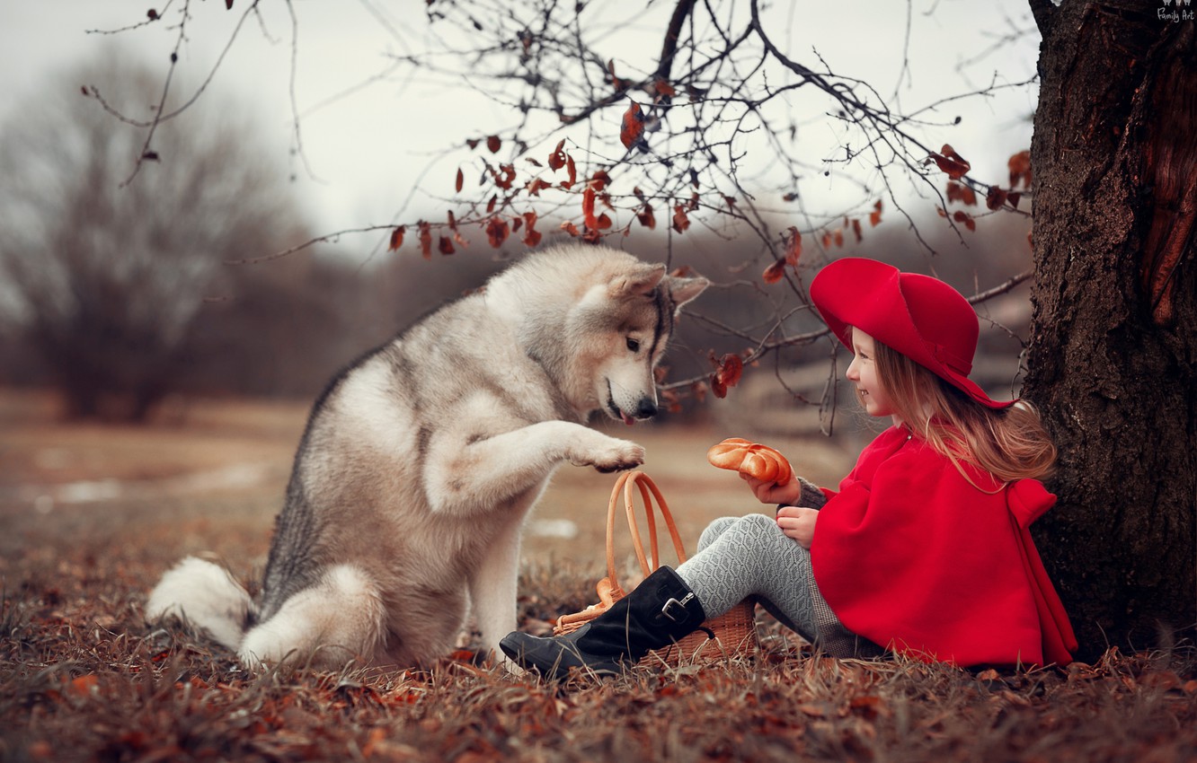 Happy Tails with CBD: CBD’s Potential for Enhancing Pet Joy