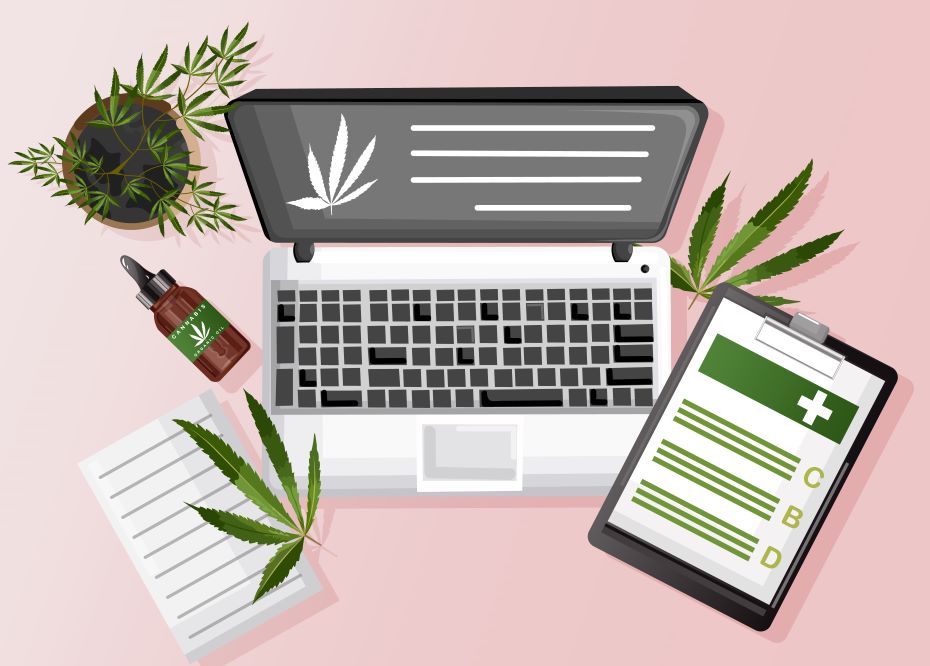 Harmony Haven: CBD Wellness App & Role of Web Development